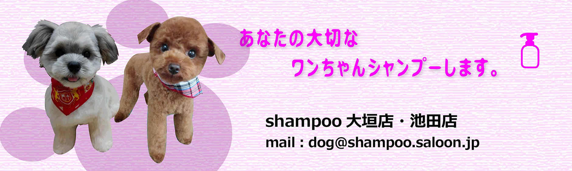 人気 犬 シャンプー 店